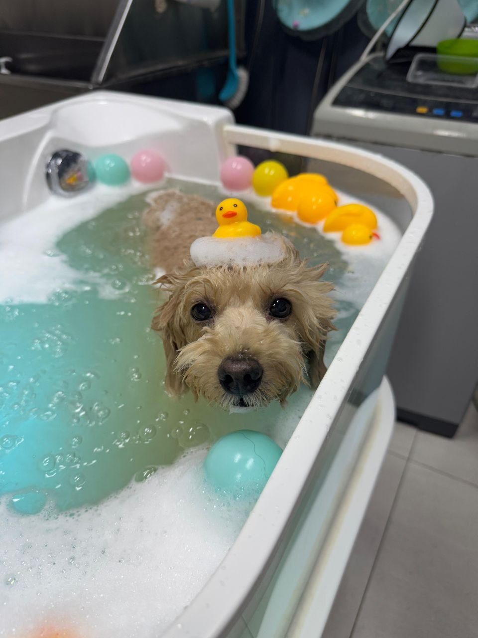 Nanobubble Sea-sealt Spa